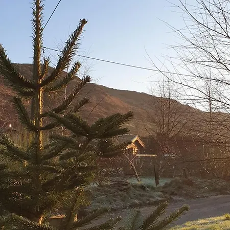 Guardswood The Woodsman Cabin